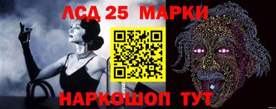 spice Краснознаменск