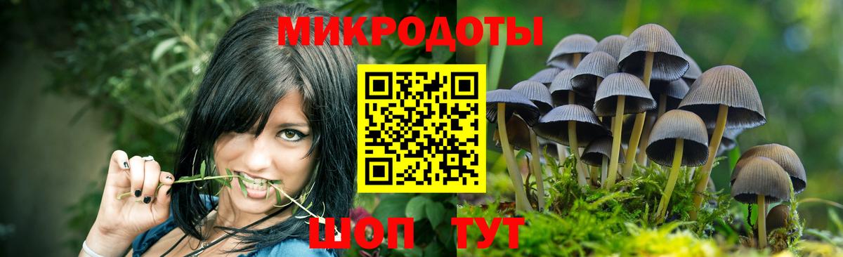 Галлюциногенные грибы GOLDEN TEACHER Зерноград