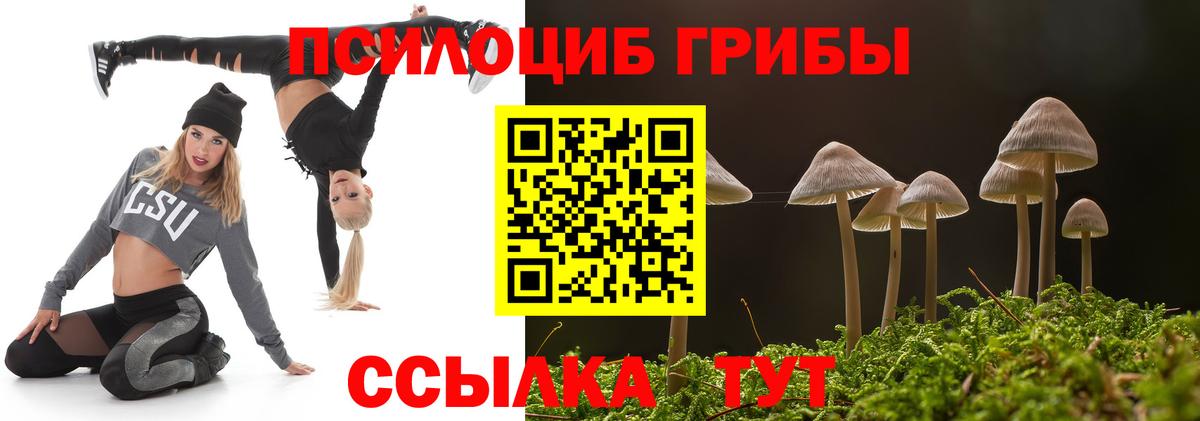 Зерноград  Галлюциногенные грибы Psilocybe  Псилоцибиновые грибы мицелий  Вход с VPN 